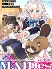 蜘蛛织梦